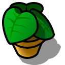 misc - plant
